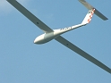 astir36