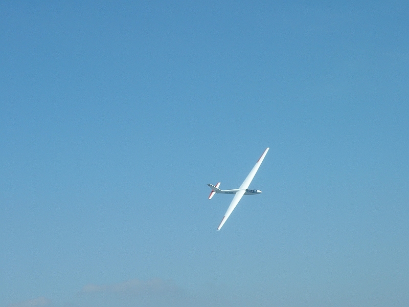 foka08