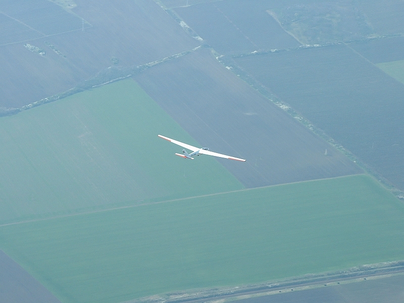 foka12
