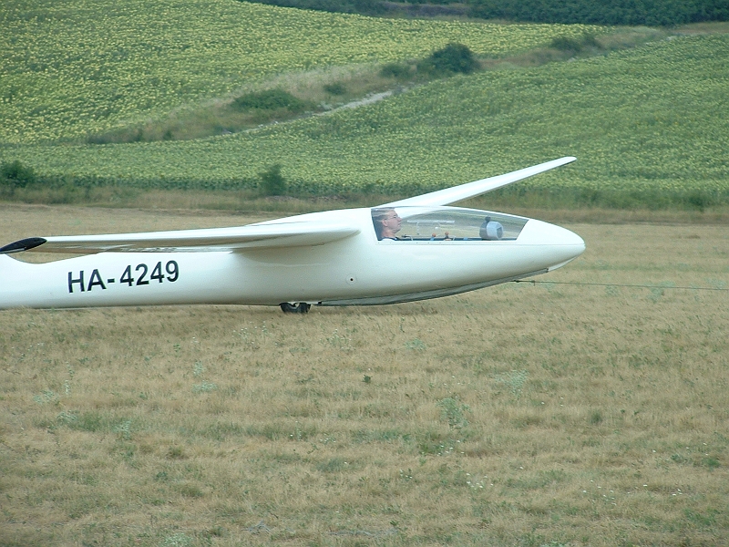 foka13