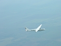 foka01