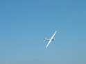 foka08