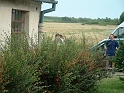 2003_073