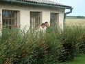 2003_074