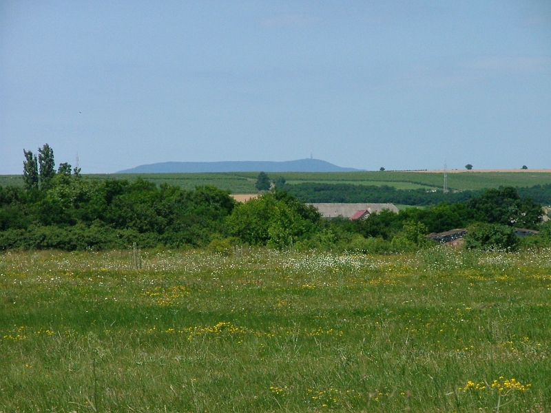 2004_063