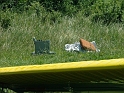 2004_067