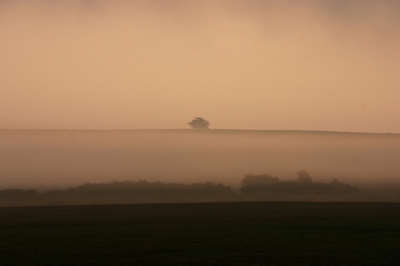 2006_035