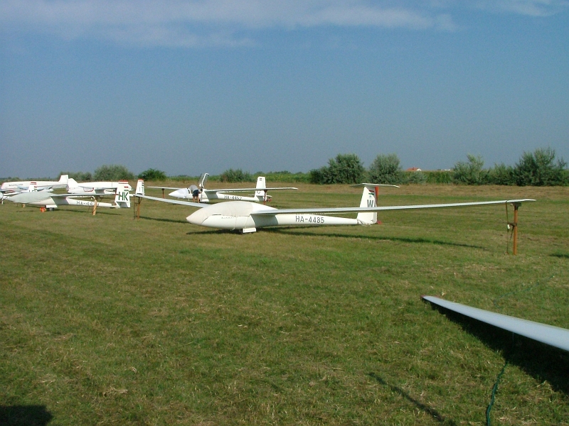 alfold2004_019
