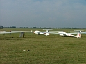 alfold2004_004