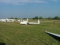 alfold2004_019