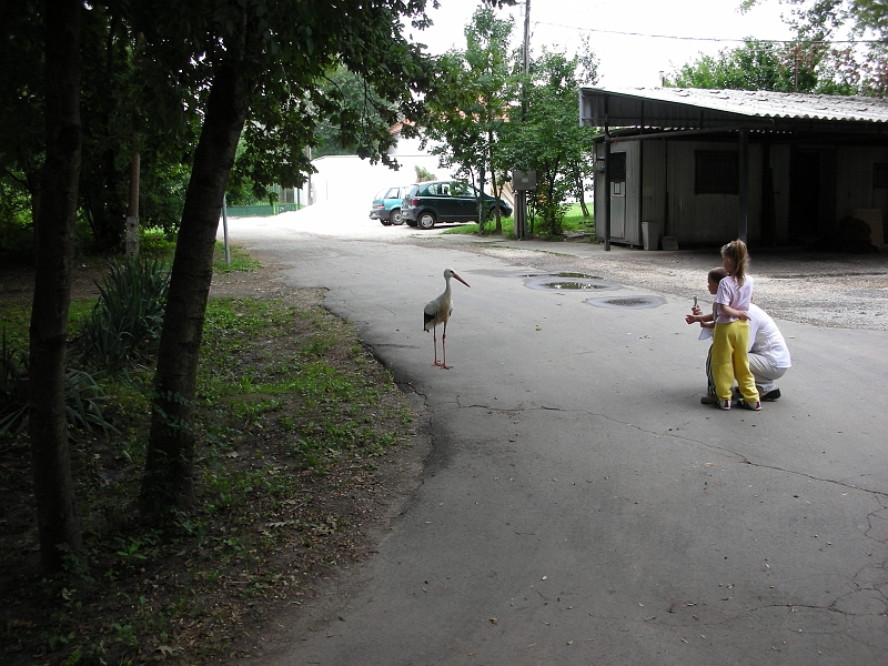 flatland2006_046