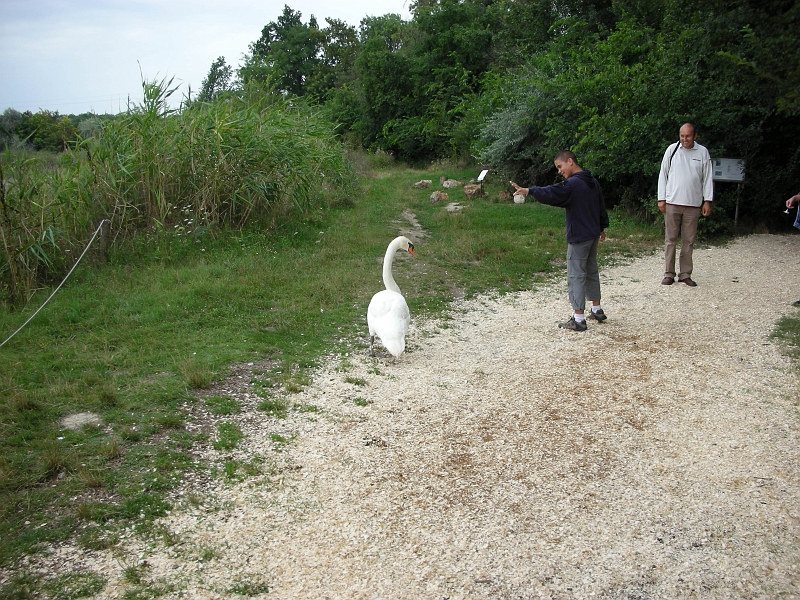 flatland2006_047