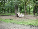 flatland2006_043
