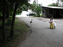 flatland2006_046