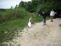 flatland2006_047