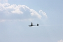 flatland2006_112