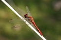 flatland2006_142