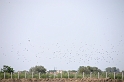flatland2006_192